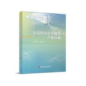 打造国家清洁能源产业高地