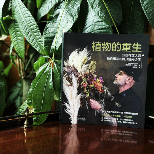 植物的重生:法国花艺大师教你用花艺提升空间价值 商品图1
