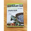 乌龟养护指南:健康饲养与常见病防治 商品缩略图1
