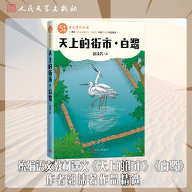 天上的街市;白鹭