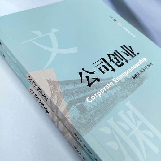 公司创业 商品图2