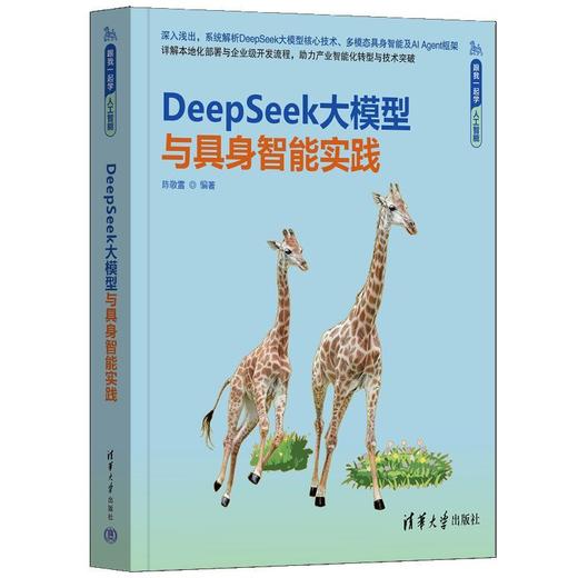 DeepSeek大模型与具身智能实践 商品图1