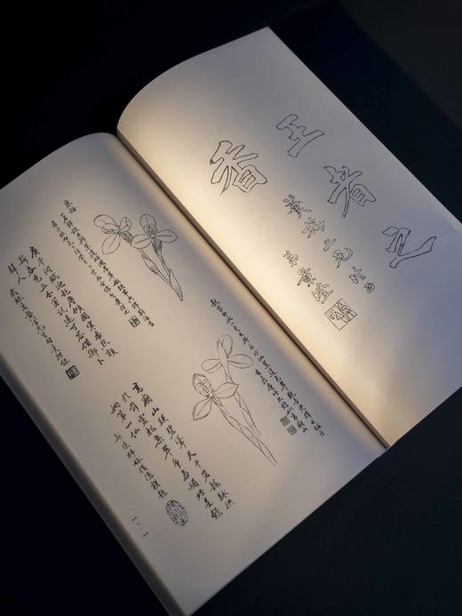 【重磅推荐】《兰谱录》甲集，储鹏 编，一函五册，六眼线装，预共900筒子页以上。成书尺寸（长35.8×宽22.6×厚12）cm，约重7.5KG。正文用纸为仿古特种纸印刷；插页为洒金宣以及白宣 商品图9