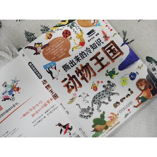 撕出来的冷知识.动物王国 商品图2