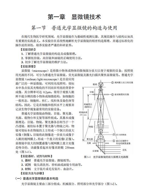 医学细胞生物学实验（第2版）姜志胜 9787030864376 商品图5