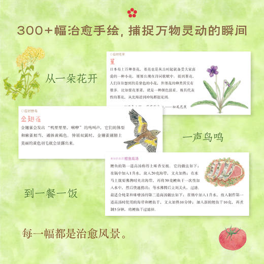 七十二物候：顺时生活 商品图2