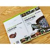 乌龟养护指南:健康饲养与常见病防治 商品缩略图2