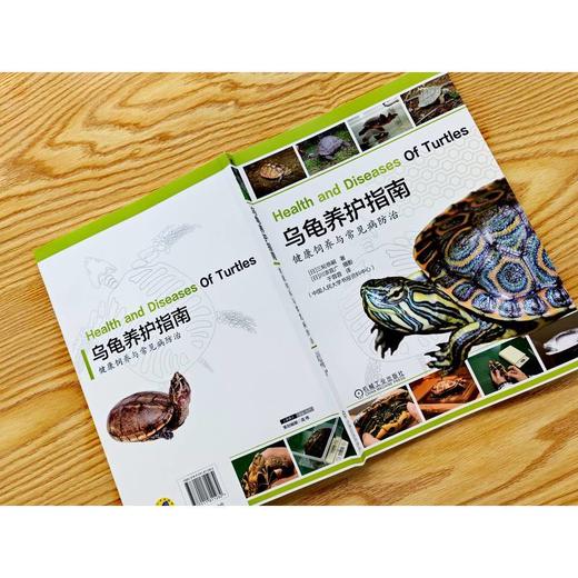 乌龟养护指南:健康饲养与常见病防治 商品图2