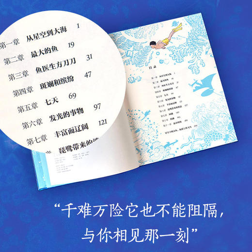 星鱼 商品图3