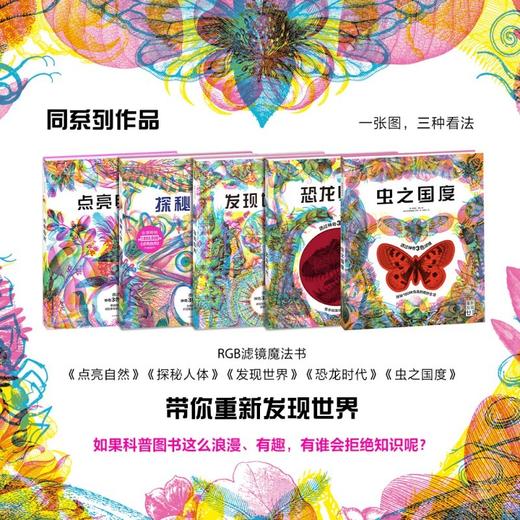 海洋巡航 商品图4