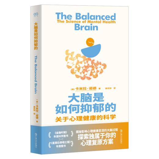 大脑是如何抑郁的 商品图0