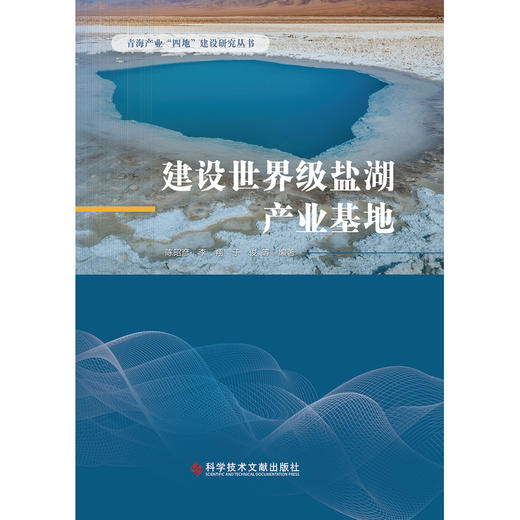 建设世界级盐湖产业基地 商品图1