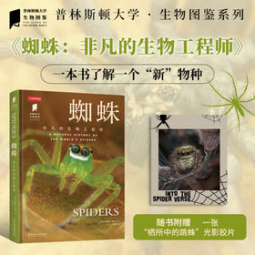 蜘蛛:非凡的生物工程师