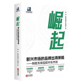 崛起:新兴市场的品牌出海策略