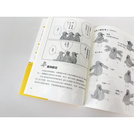 乌鸦的日常 商品图1