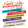 10天掌握Live2D模型制作 Live2D入门建模教程*基础 动态立绘二次元角色动画设计漫画视频制作 商品缩略图2