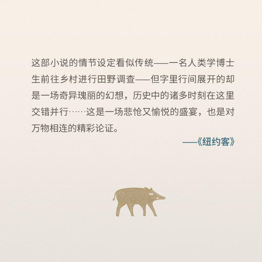 深陷泥沼的人类学家 商品图2