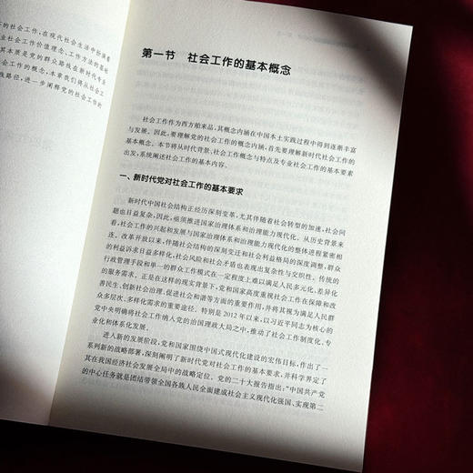 党的社会工作概论 商品图4