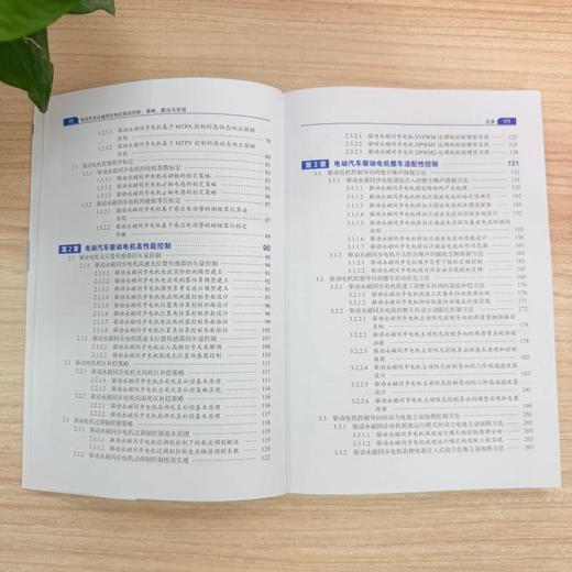 电动汽车永磁同步电机驱动控制:策略.算法与实现 商品图4