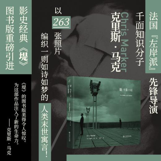 堤:电影小说 商品图0