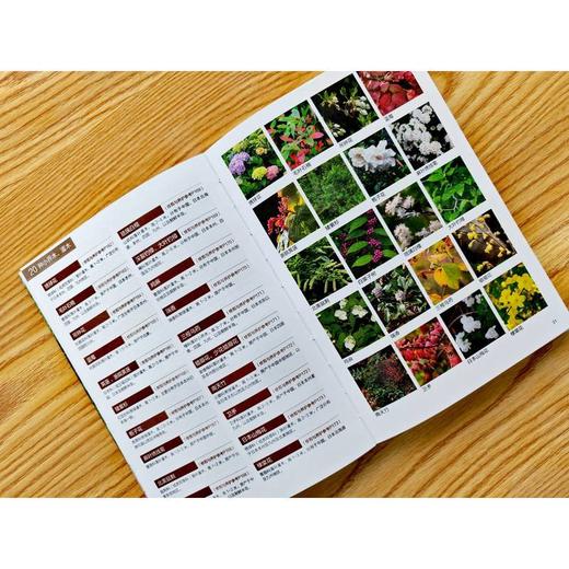 庭院植物修剪养护技巧 商品图3