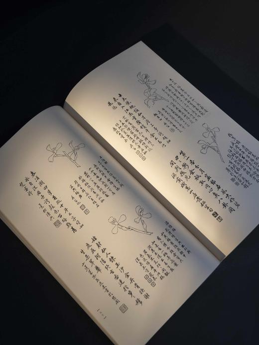 【重磅推荐】《兰谱录》甲集，储鹏 编，一函五册，六眼线装，预共900筒子页以上。成书尺寸（长35.8×宽22.6×厚12）cm，约重7.5KG。正文用纸为仿古特种纸印刷；插页为洒金宣以及白宣 商品图10