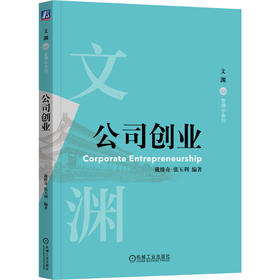 公司创业