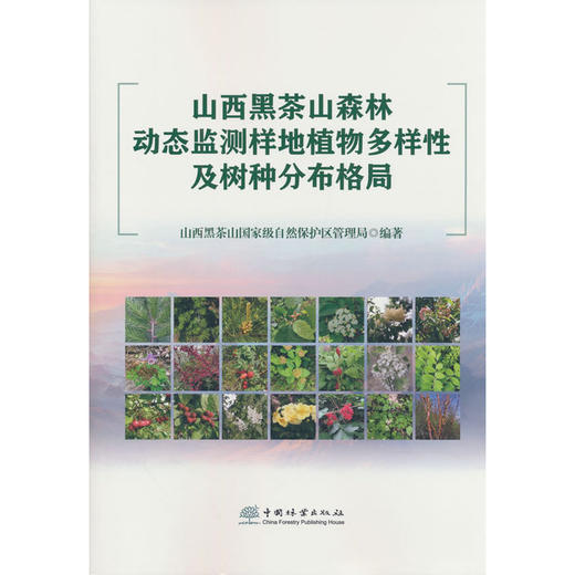 山西黑茶山森林动态监测样地植物多样性及树种分布格局 商品图0