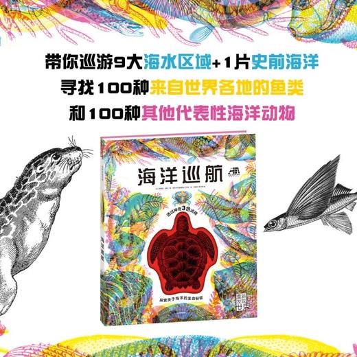 海洋巡航 商品图1