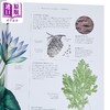 预售 【中商原版】DK世界植物学图集 英文原版 Atlas of Botany An Exploration of Plants Across Time and Around the World DK 商品缩略图2