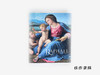 【绝版旧书】Raphael: From Urbino to Rome/拉斐尔：从乌尔比诺到罗马 商品缩略图0