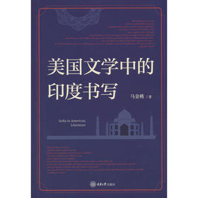 美国文学中的印度书写