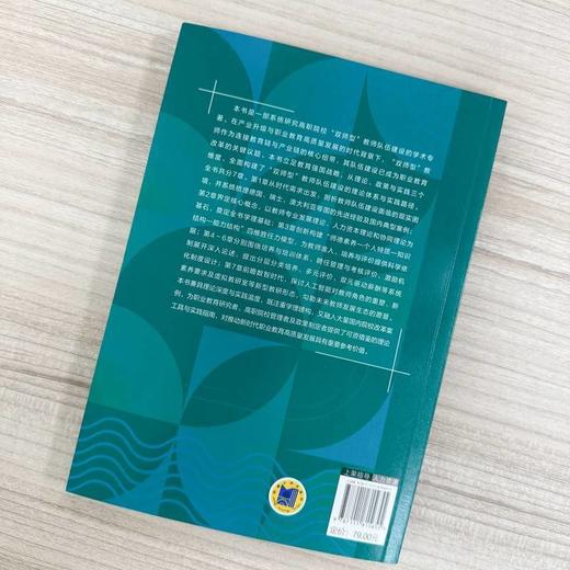 高职院校双师型教师队伍建设理论体系的研究与实践 商品图3