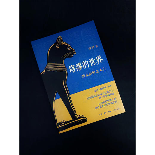 塔缪的世界:埃及猫的艺术史 商品图3