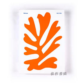 Matisse 1941-1954 / 马蒂斯 1941—1954年