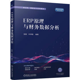 ERP原理与财务数据分析