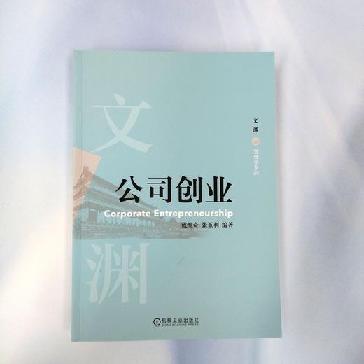 公司创业 商品图1