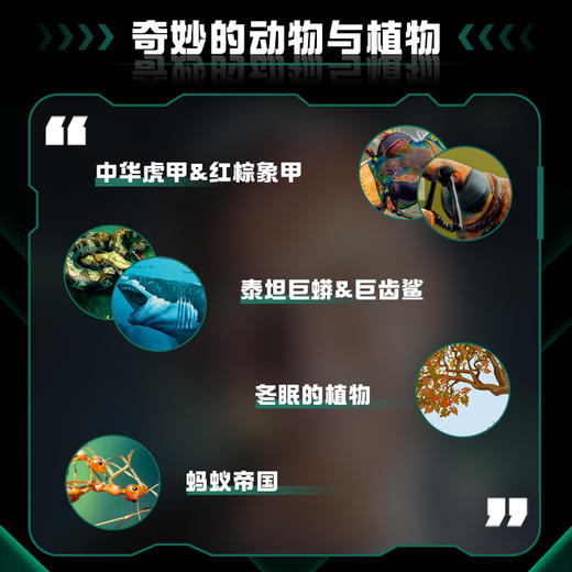 STEM科学新知：神奇生物 商品图3