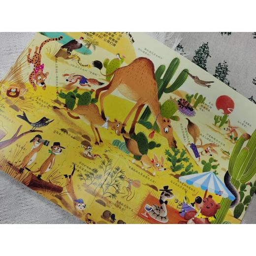 撕出来的冷知识.动物王国 商品图4