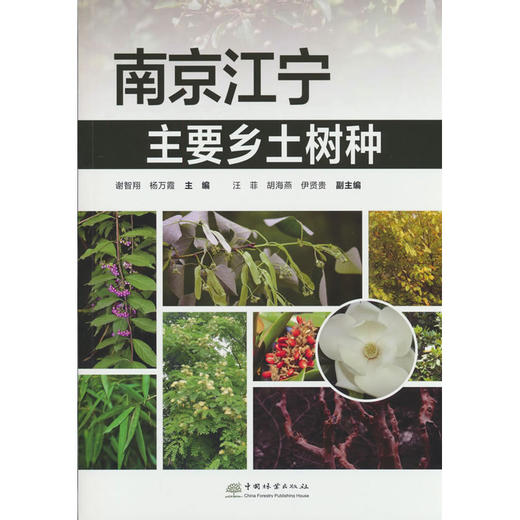 南京江宁主要乡土树种 商品图0