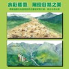 山洪来了 商品缩略图4
