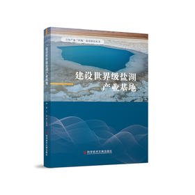 建设世界级盐湖产业基地