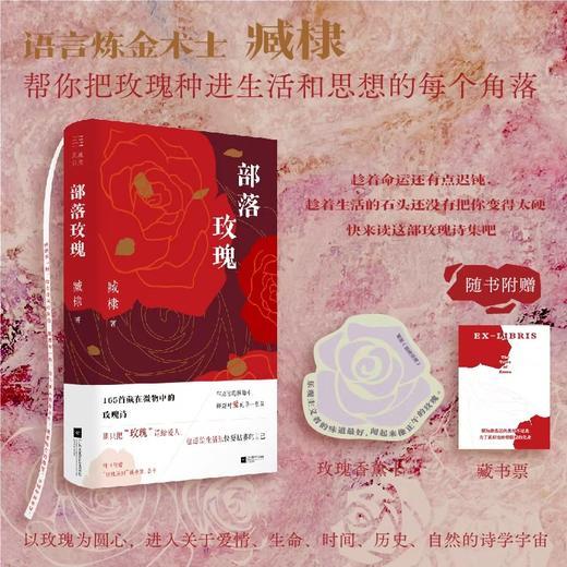 部落玫瑰 商品图0