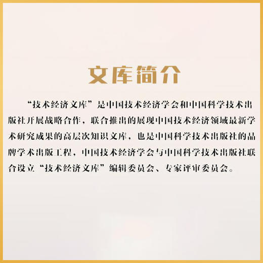国家战略科技力量建设:理论与实践 商品图4