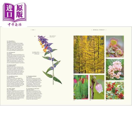 预售 【中商原版】DK世界植物学图集 英文原版 Atlas of Botany An Exploration of Plants Across Time and Around the World DK 商品图3