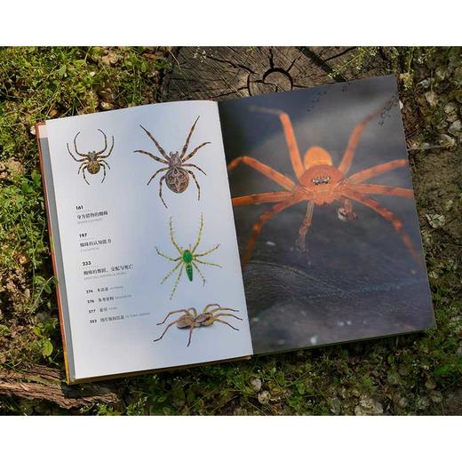 蜘蛛:非凡的生物工程师 商品图2