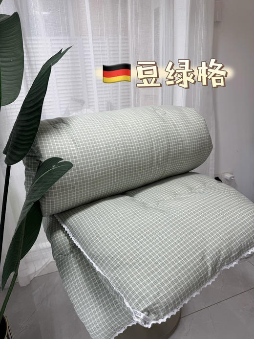 6斤秋冬被子出口德国体感恒温被 商品图3