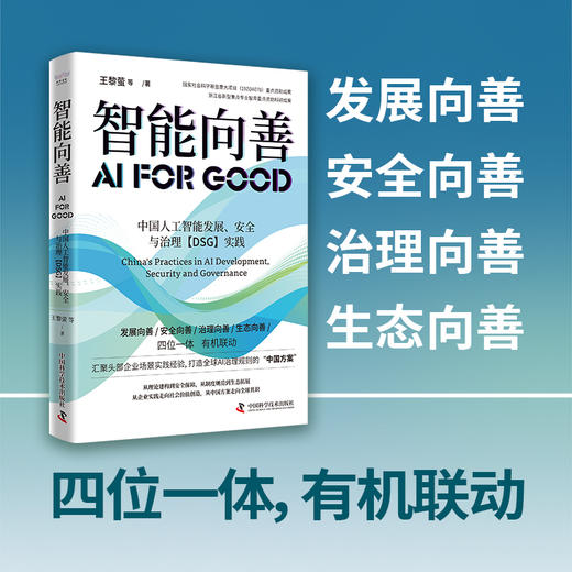 智能向善:中国人工智能发展.安全与治理(DSG)实践 商品图2