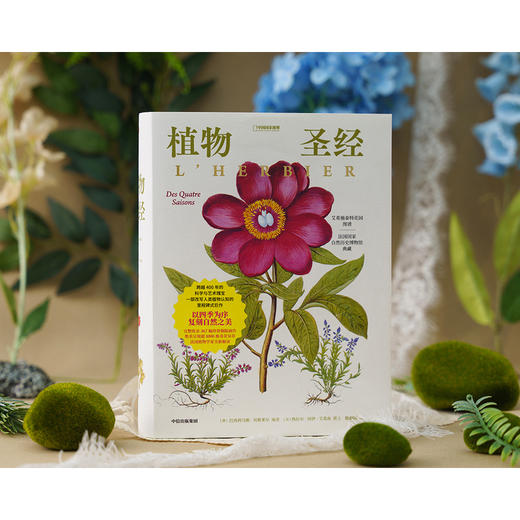 植物圣经 商品图0