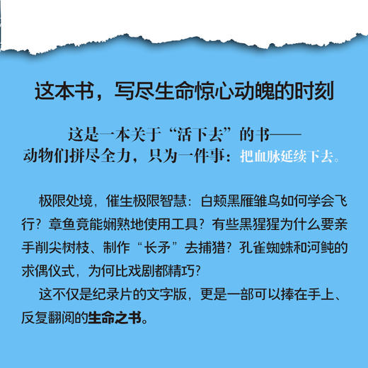 生命的故事：BBC动物世界的传奇（*版） 商品图1